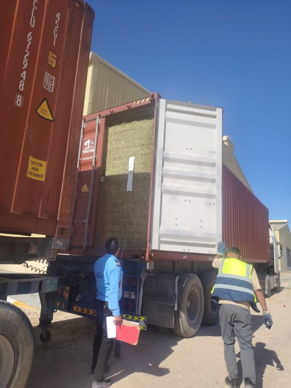 Container unloading