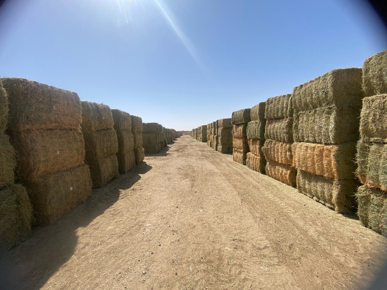 Managed inventory rows